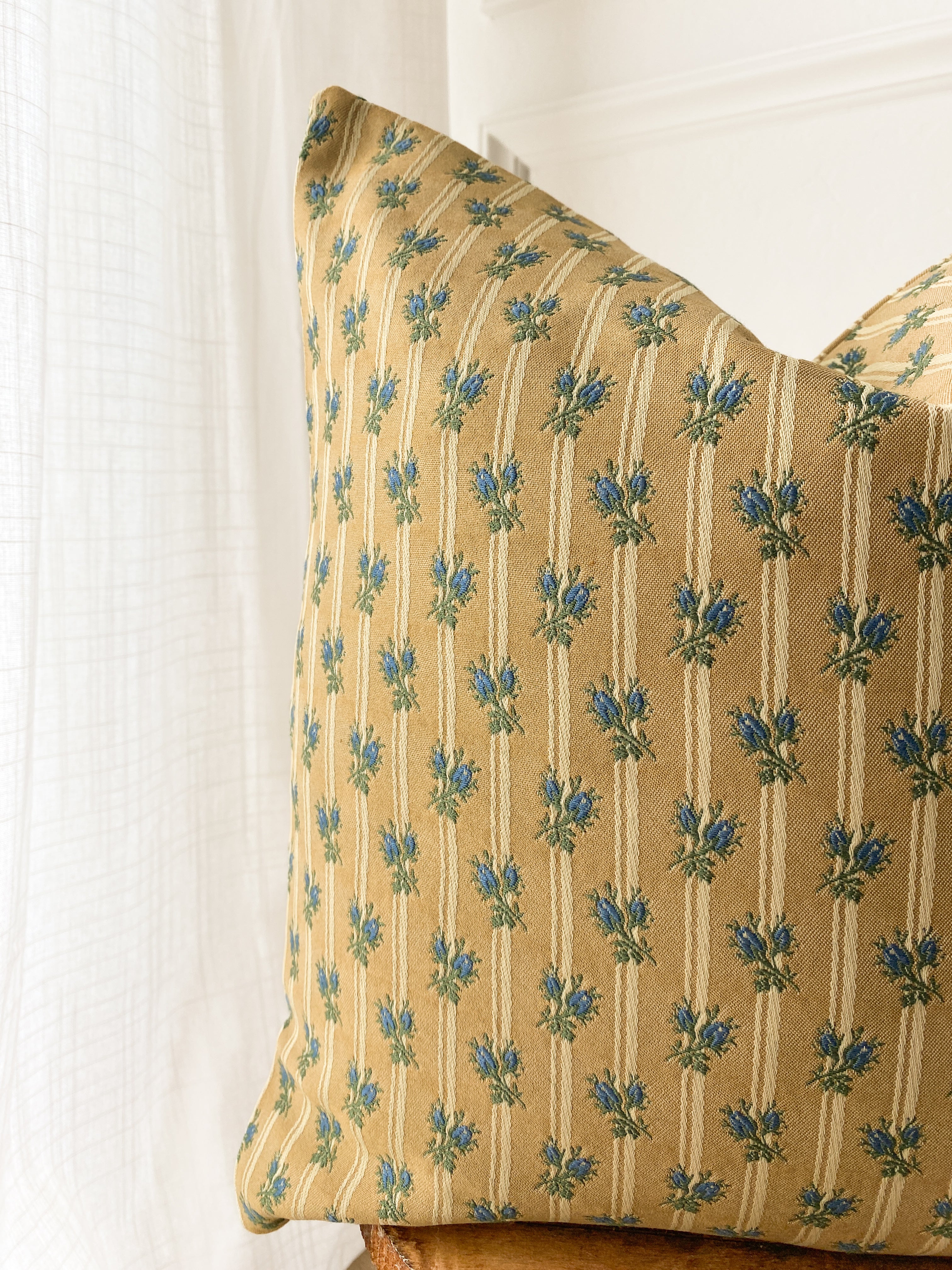 Blue Thistle